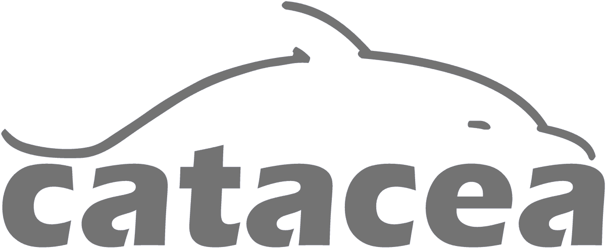 catcea logo